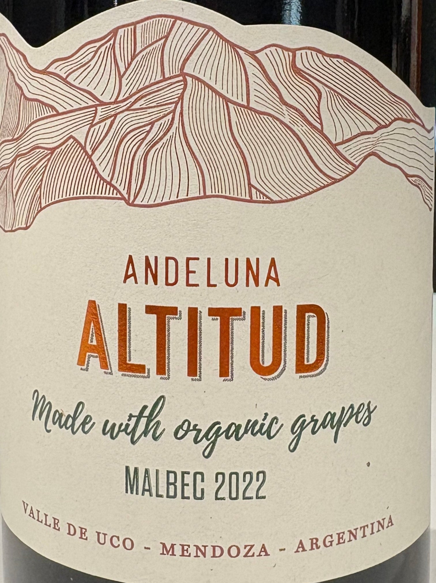 ANDELUNA ALTITUD MALBEC 6X750 - alternate view
