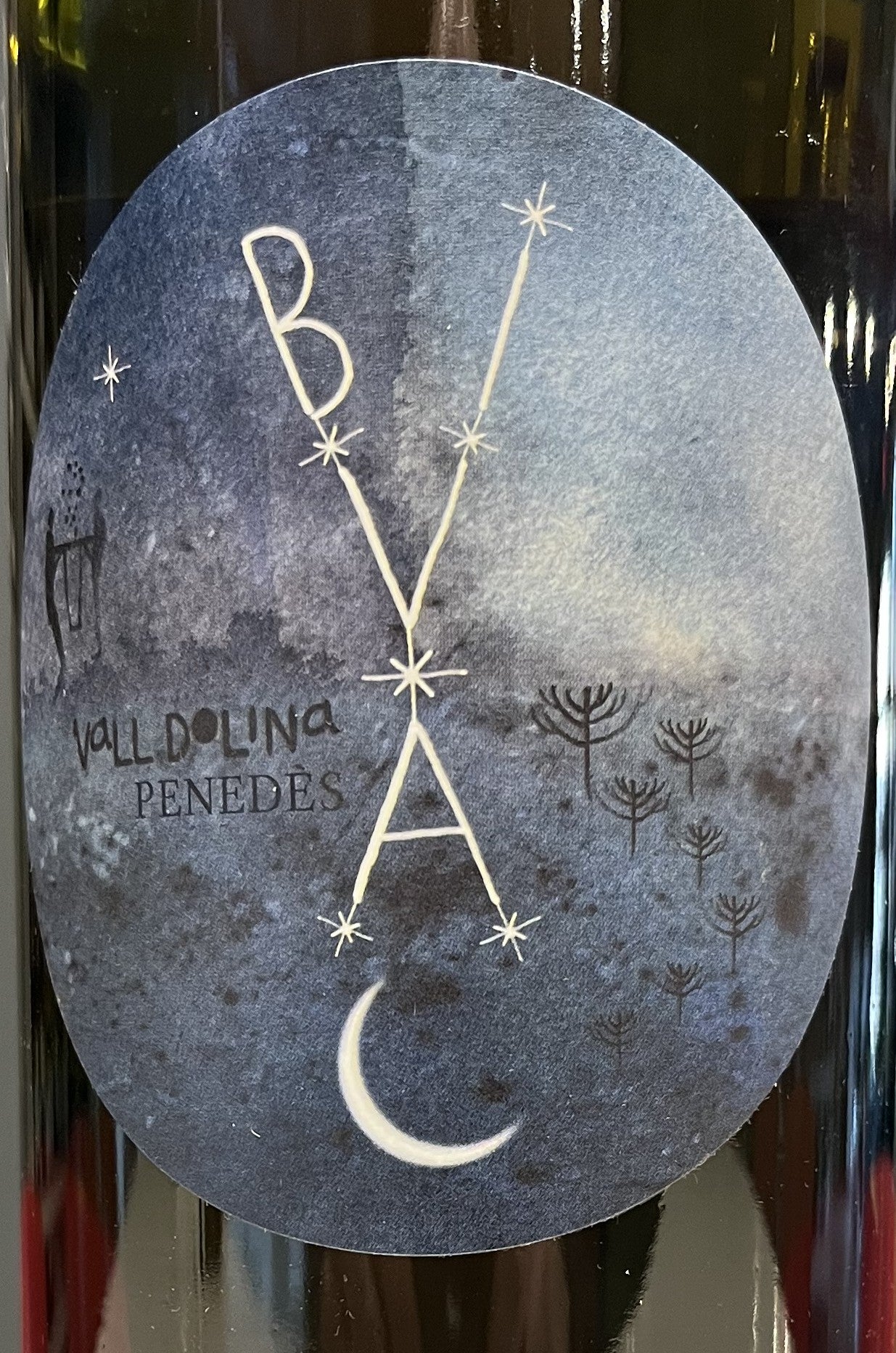 VallDolina 'Bivac' - White Blend