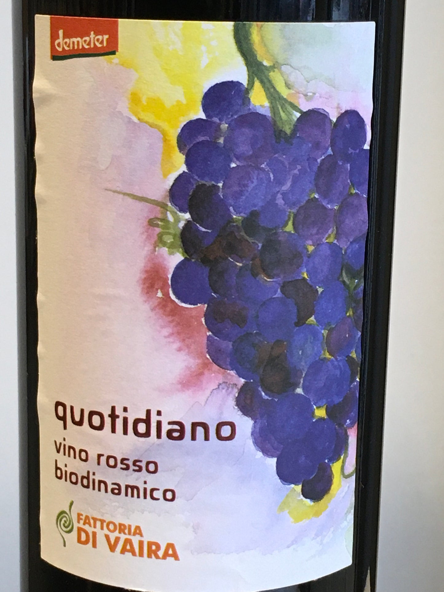 Fattoria Di Vaira 'Quotidiano' - Vino Rosso
