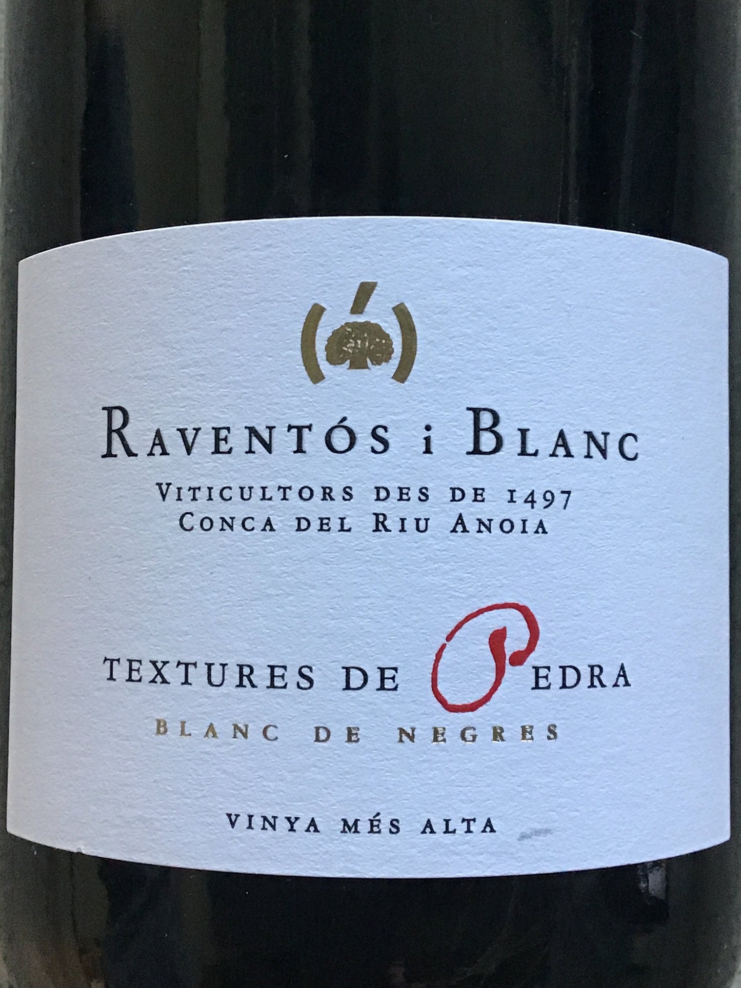 Raventos i Blanc ‘Textures de Pedra’ - Blanc de Negres