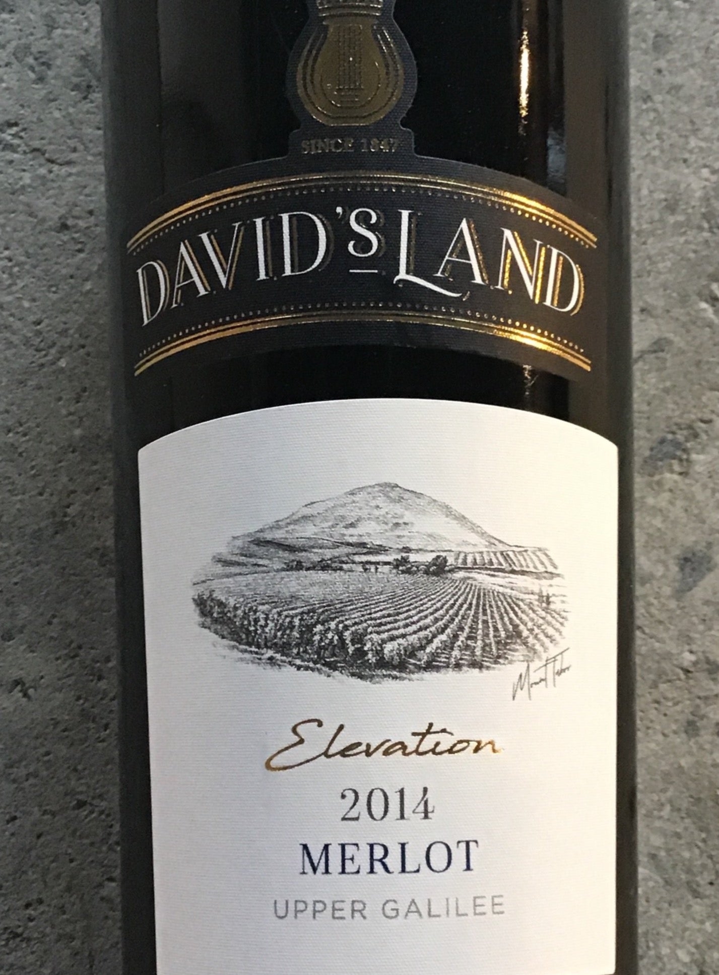 David's Land 'Elevation' - Merlot - Galilee