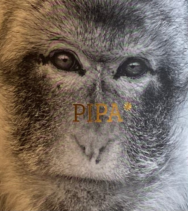 La Vinyeta 'Pipa' - Malvasia