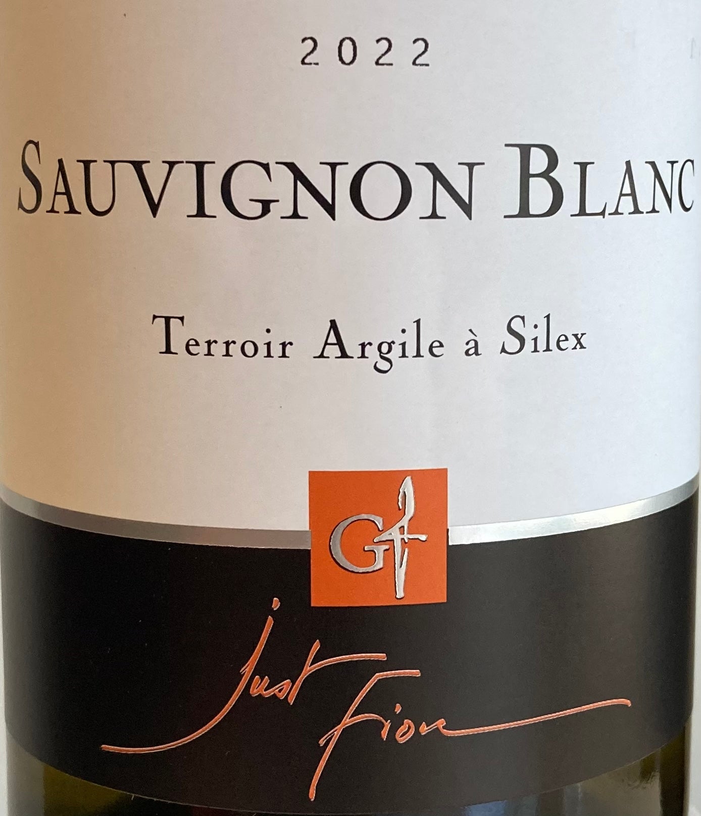 Domaine Gerard Fiou ‘Just Fiou’ - Sauvignon Blanc