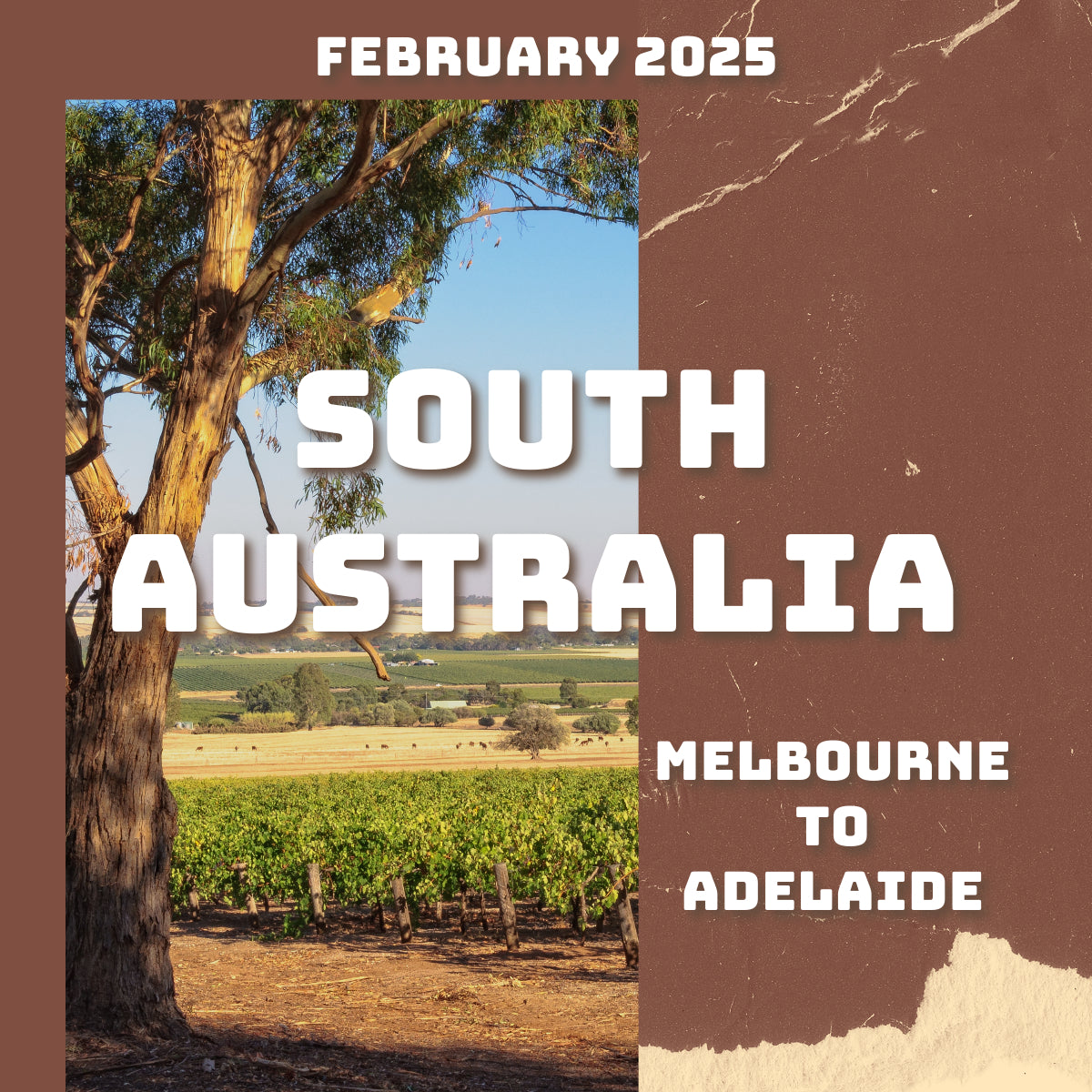 South Australia Wine and Food Tour - February 2025