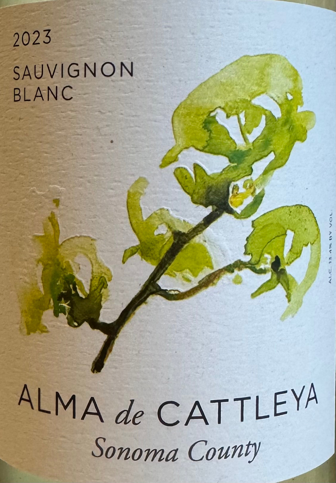 Alma de Cattleya - Sauvignon Blanc