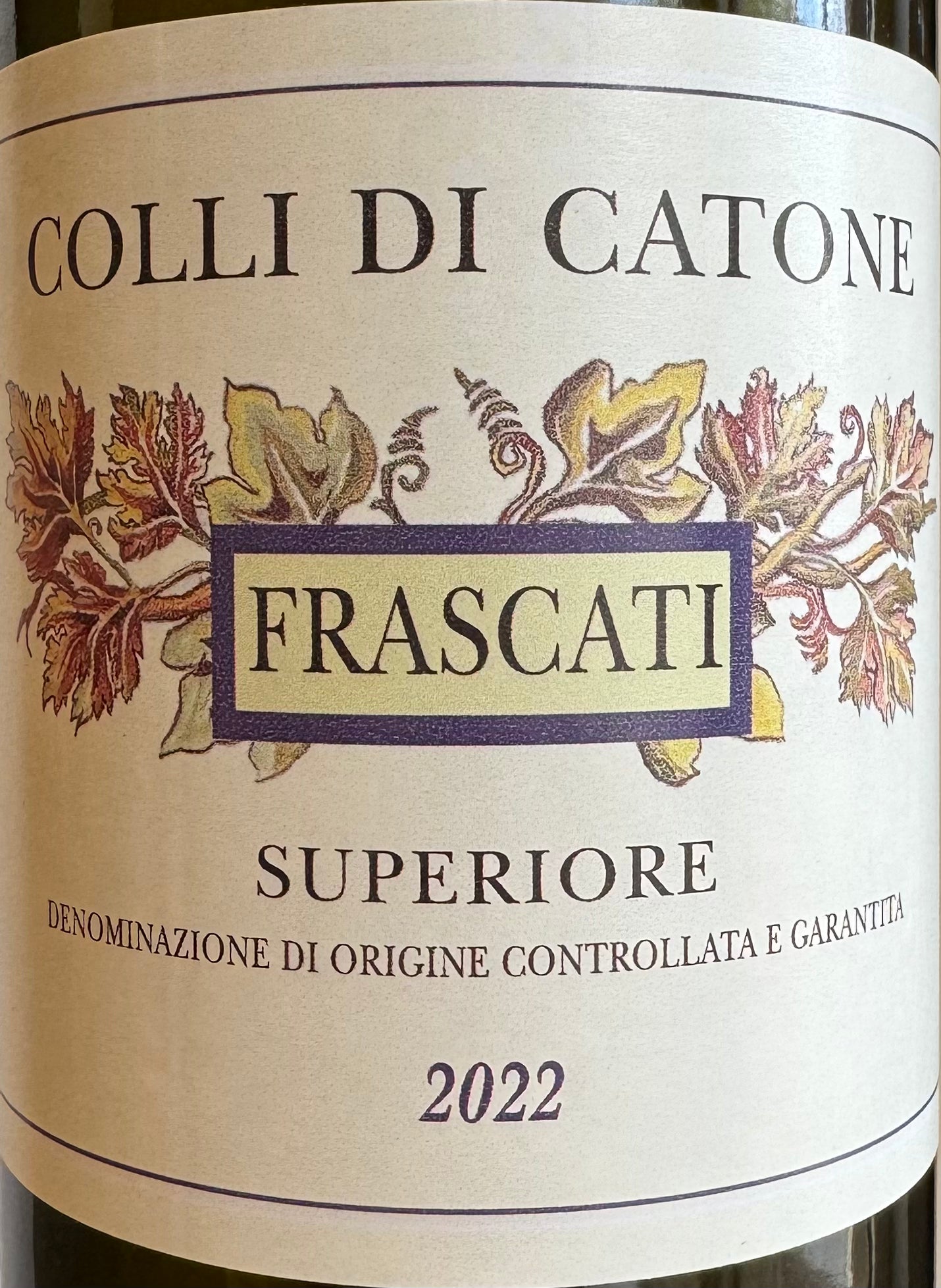 Collie di Catone - Frascati Superiore