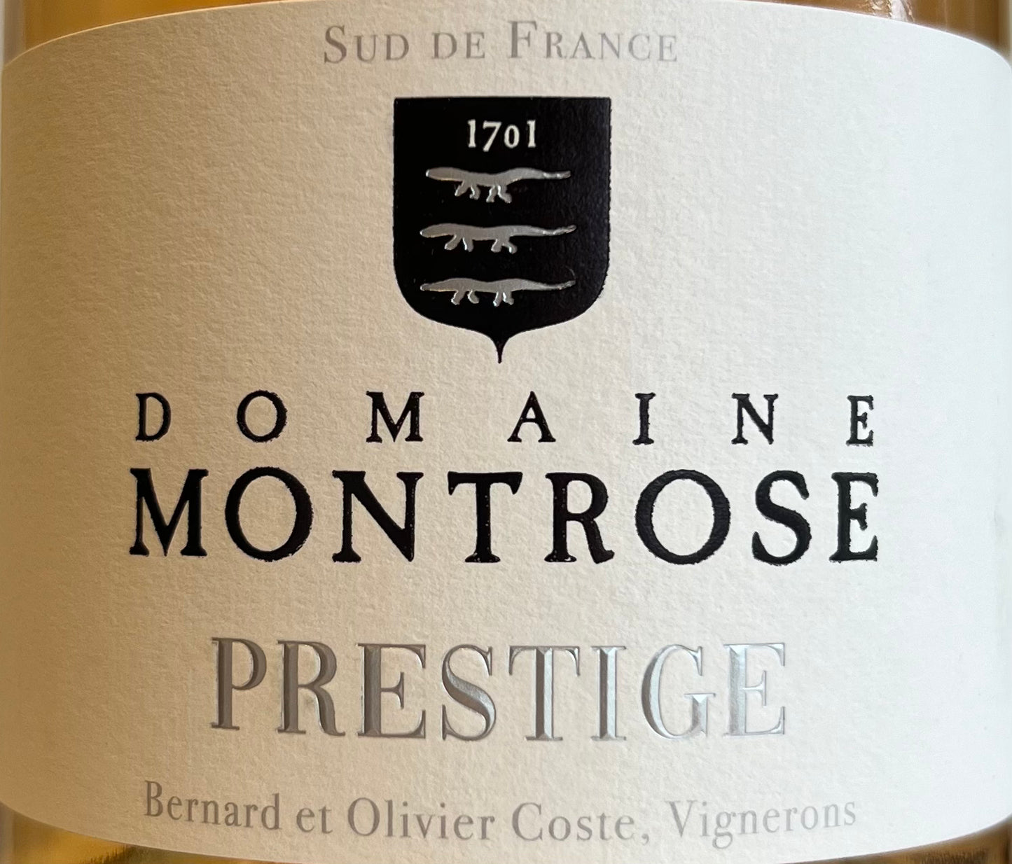 Montrose 'Prestige' - Rose