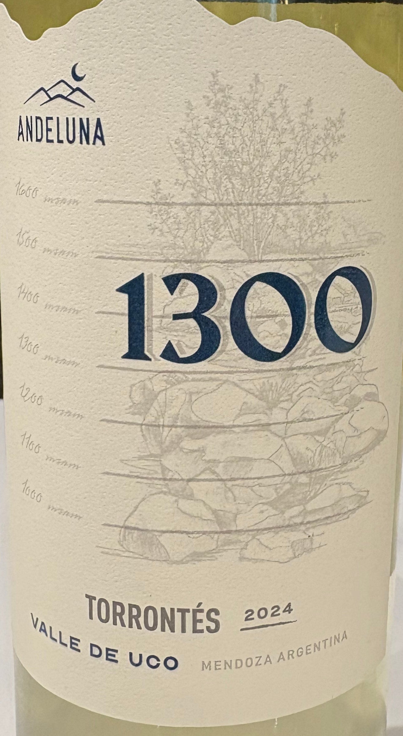 Andeluna '1300' - Torrontes