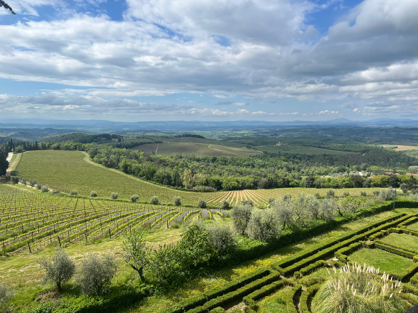 Spotlight on: Tuscany - Raleigh Wine Class