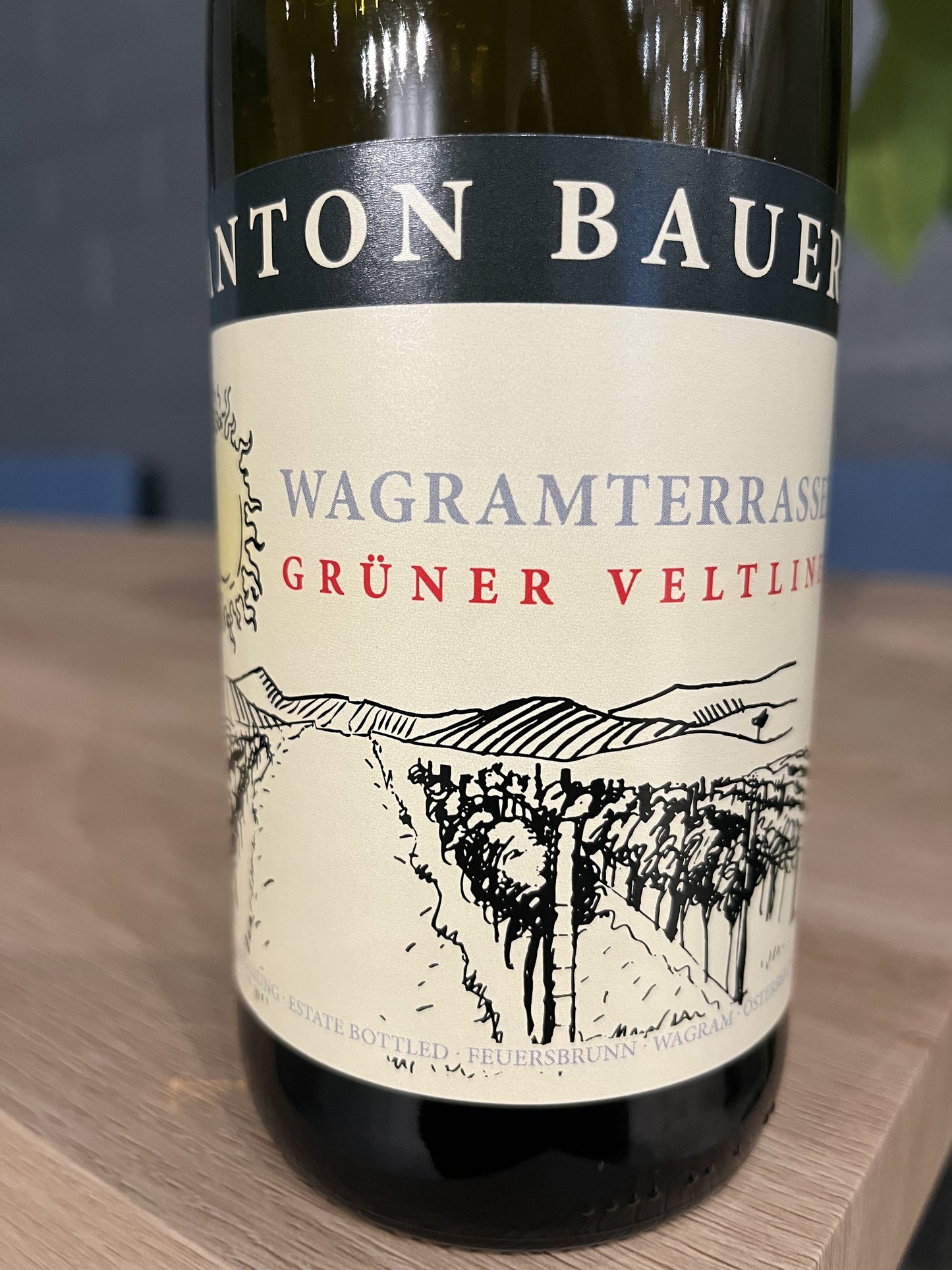 Anton Bauer 'Wagramterrassen' - Gruner Veltliner