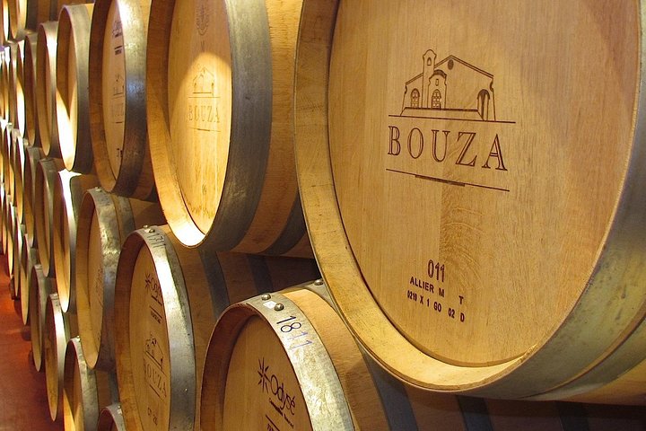 Bouza + Bites - Premium Wine Tasting and Seminar - Raleigh