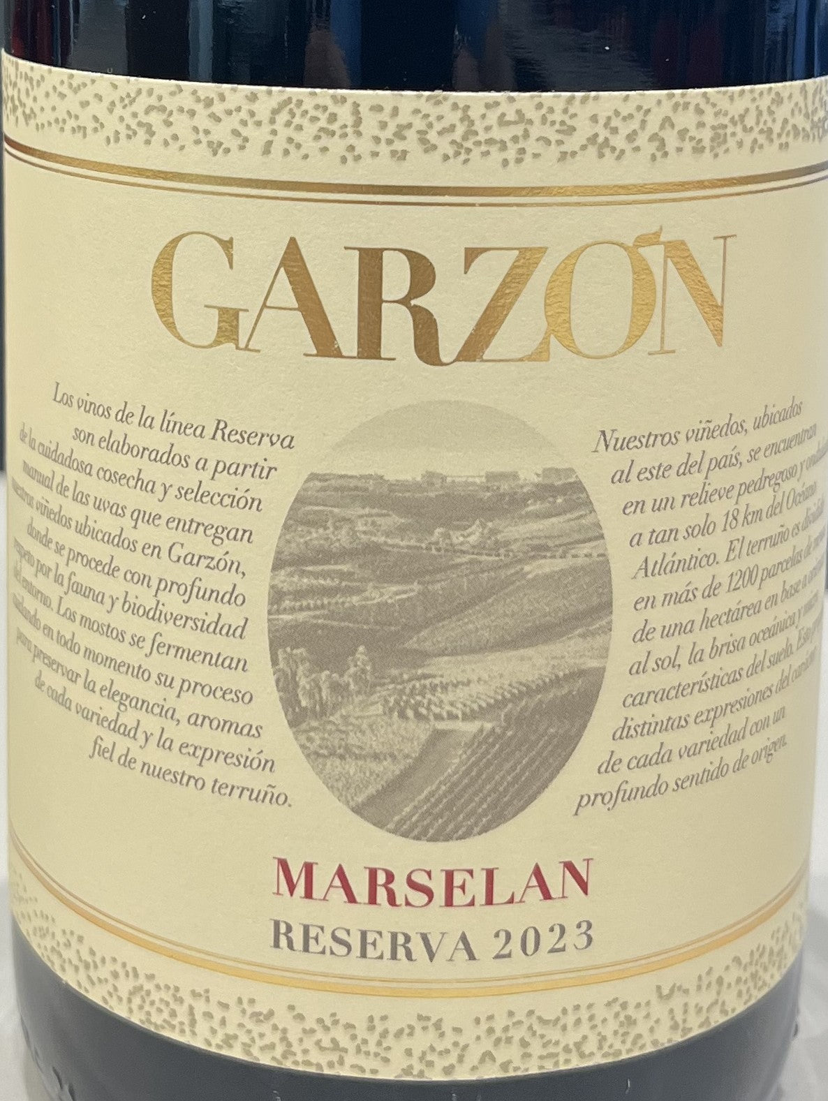 Garzon - Marselan