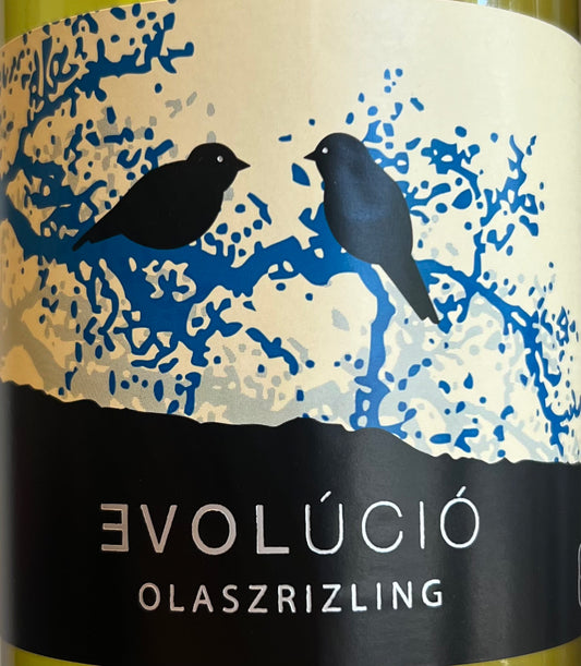 Evolucio - Olasrizling