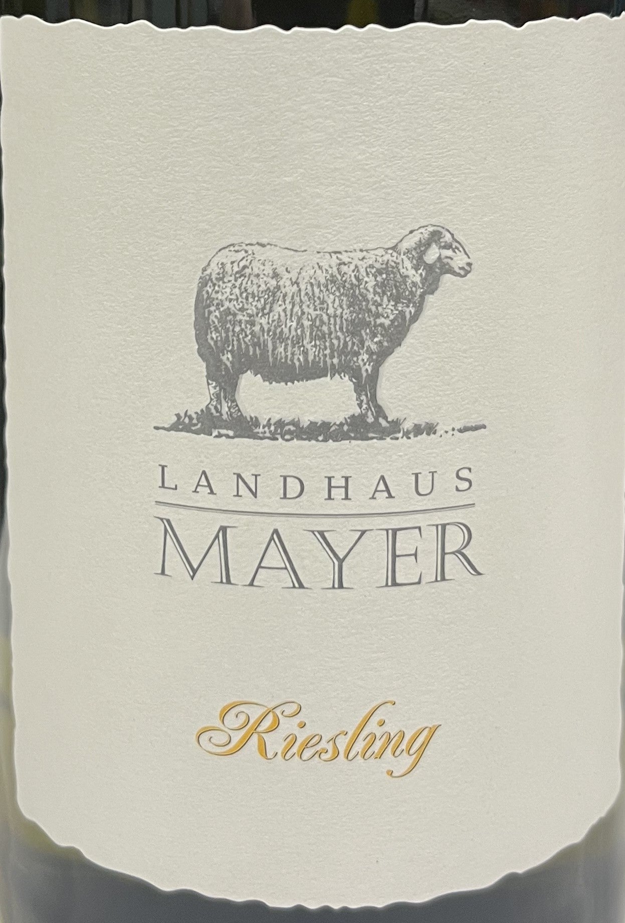 Landhaus Mayer - Riesling