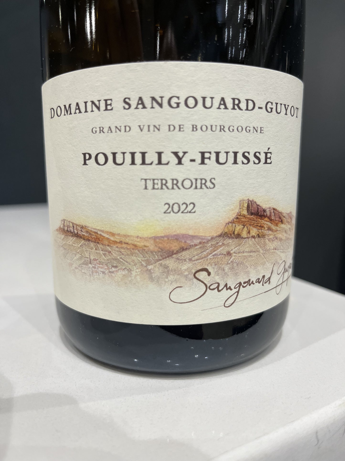 Domaine Sangouard-Guyot ‘Terroirs’ - Pouilly-Fuisse