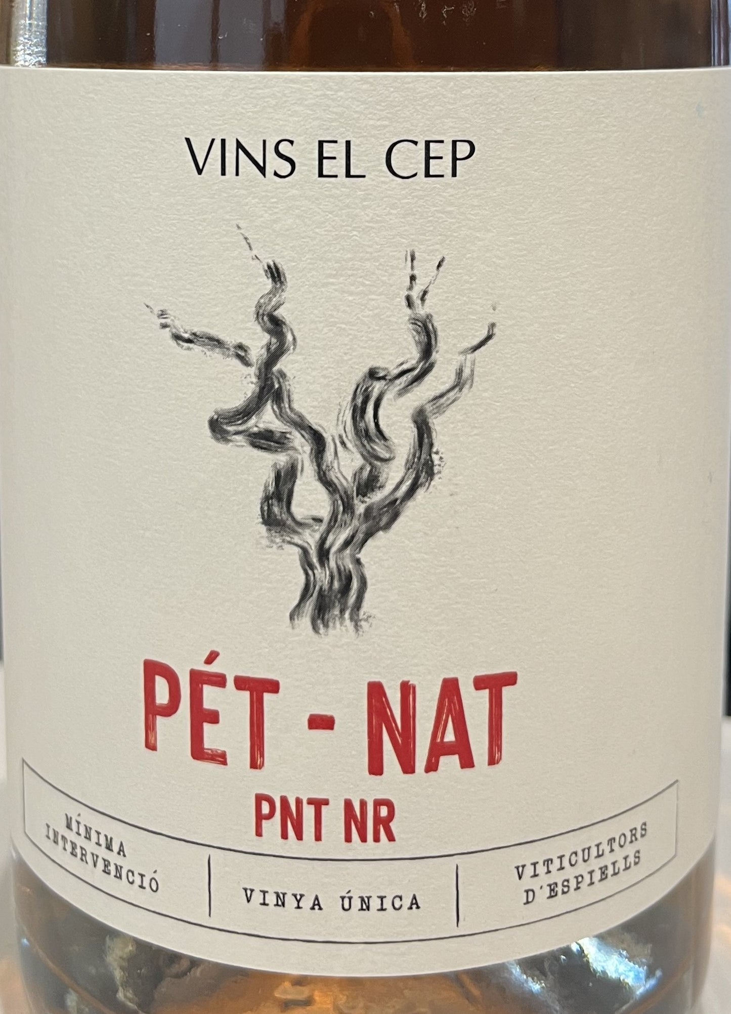 Vins El Cep 'Pnt Nr' - Sparkling Rose