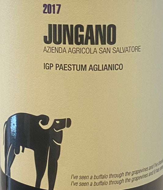 San Salvatore 'Jungano' - Aglianico