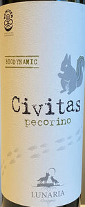 Lunaria 'Civitas' - Pecorino