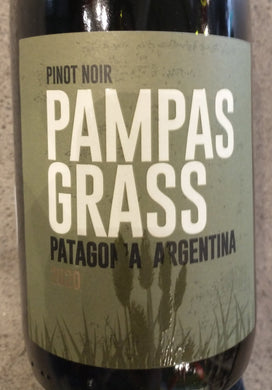 Pampas Grass - Pinot Noir - Patagonia