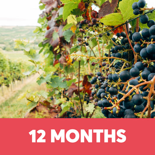 Revive Wine Club - Twelve Month Subscription